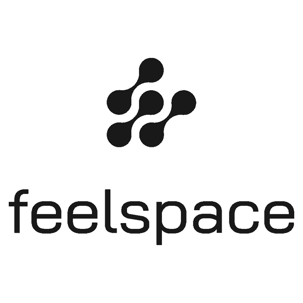 Feelspace Logo